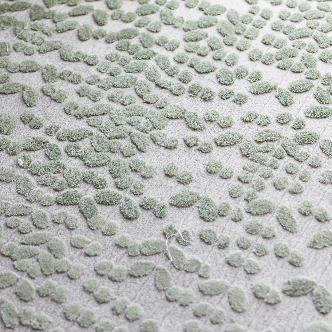 SaveClip.App_482636530_18372204499136038_4113966412387934617_n